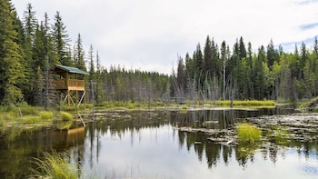 hinton