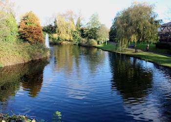 lodge at bristol