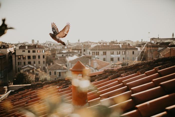 papadopoli hotel venezia mgallery collection