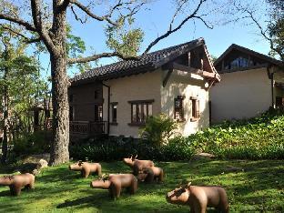 wuzhishan yatai rainforest resort