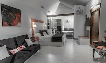 hotel and winery senorio de nevada