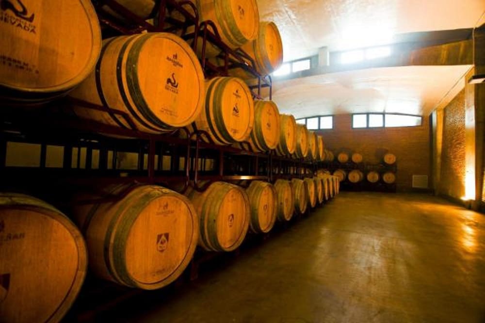 hotel and winery senorio de nevada