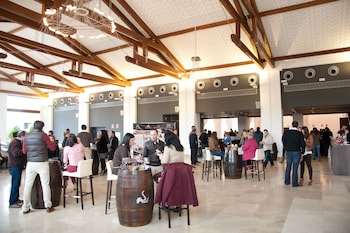 hotel and winery senorio de nevada