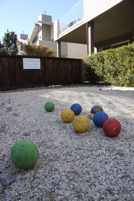 alpine resort wanaka