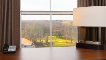 hyatt regency long island