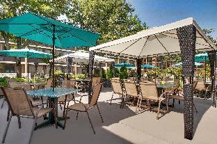holiday inn westbury long island by ihg