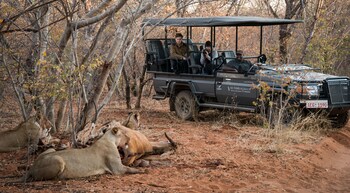 anantara stanley and livingstone victoria falls hotel
