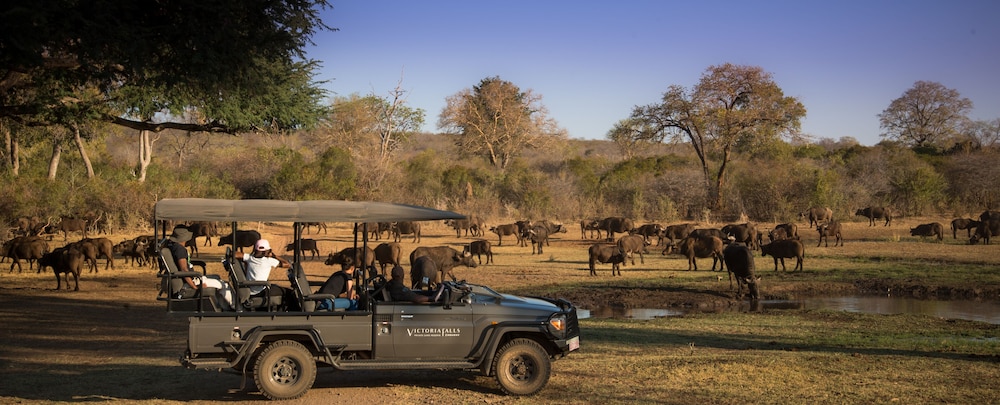 anantara stanley and livingstone victoria falls hotel