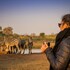 anantara stanley and livingstone victoria falls hotel