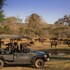 anantara stanley and livingstone victoria falls hotel