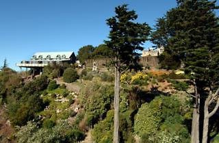 larnach lodge