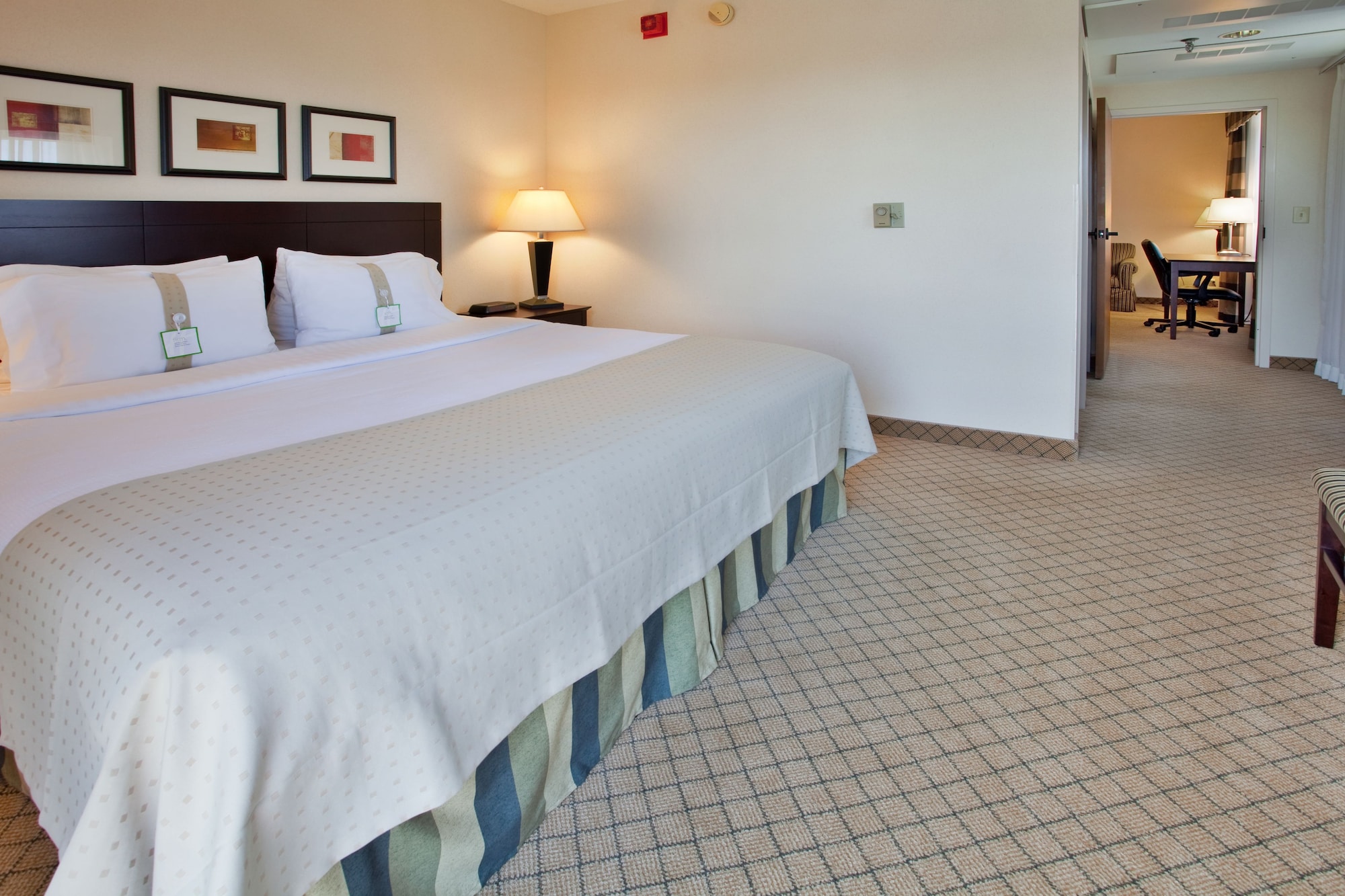 holiday inn hotel and suites springfield i 44 by ihg