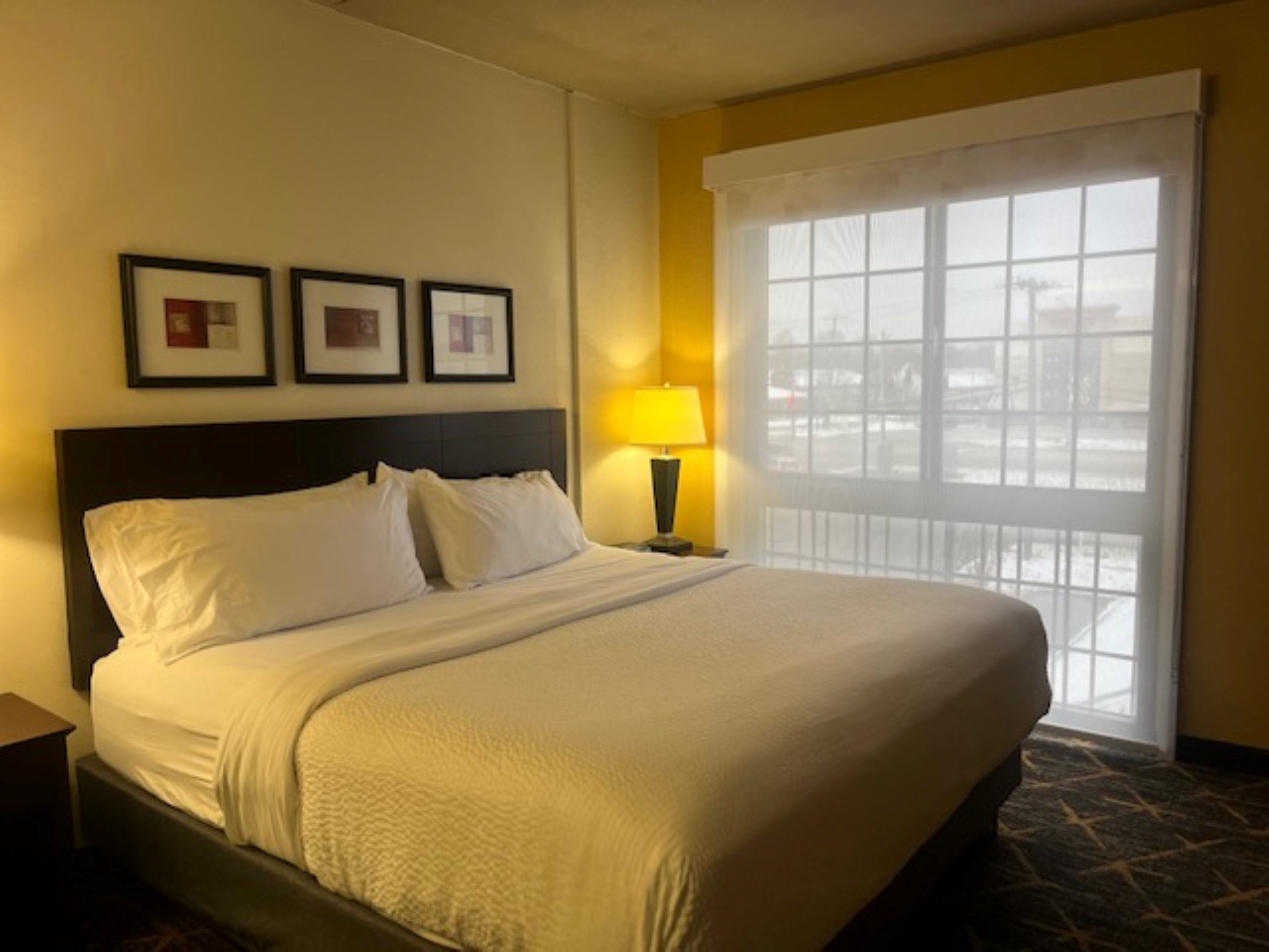 holiday inn hotel and suites springfield i 44 by ihg