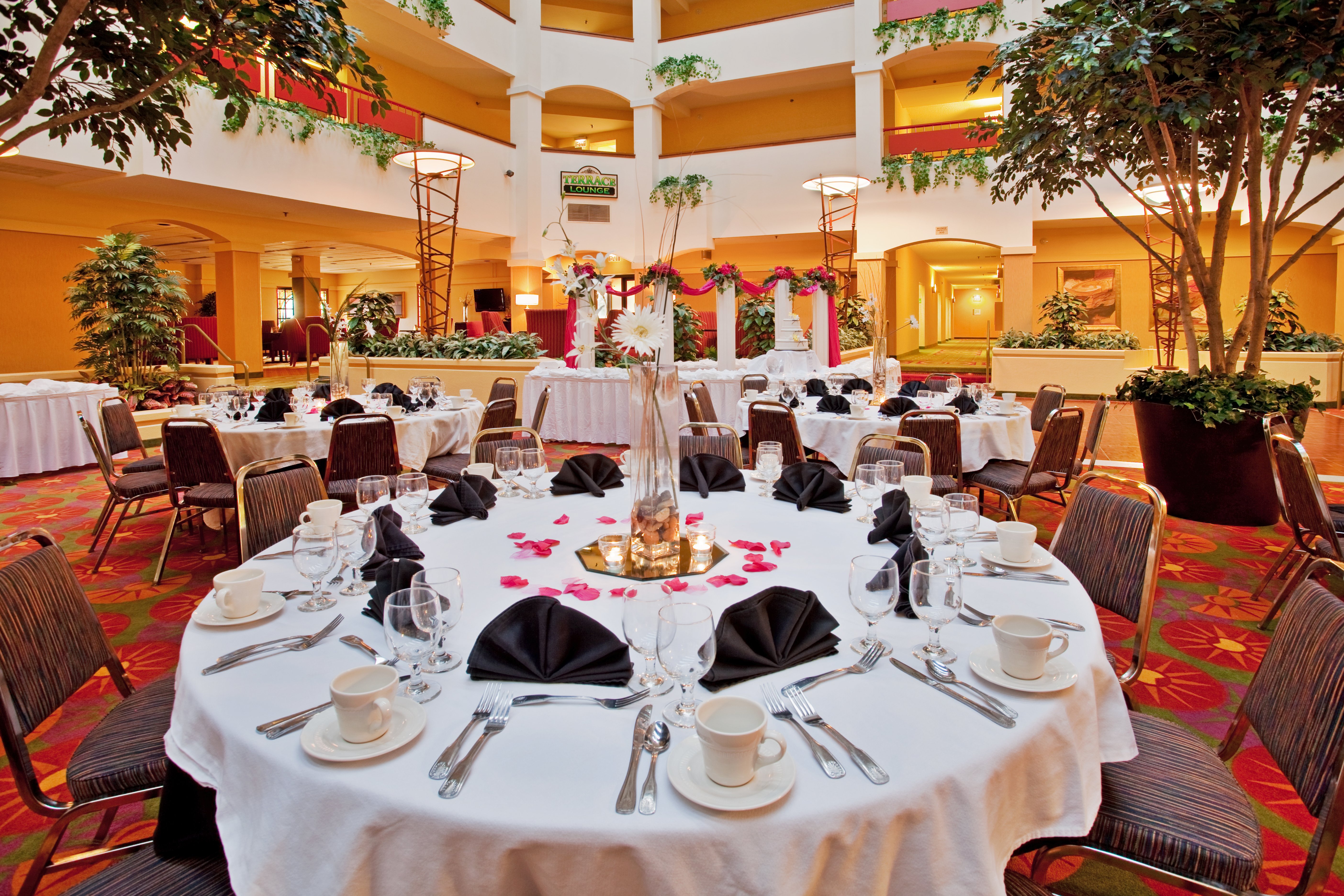 holiday inn hotel and suites springfield i 44 by ihg