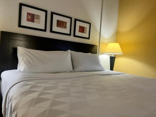 holiday inn hotel and suites springfield i 44 by ihg