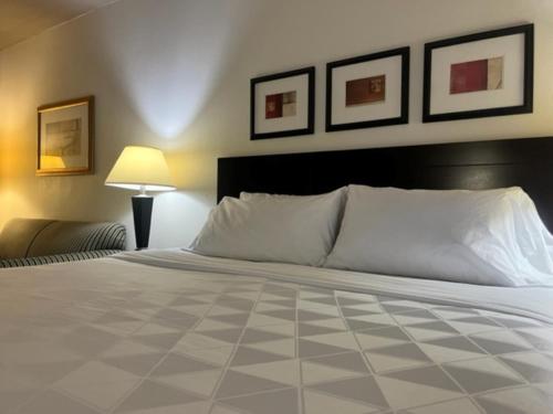 holiday inn hotel and suites springfield i 44 by ihg