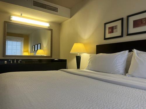 holiday inn hotel and suites springfield i 44 by ihg
