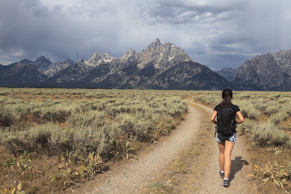 gravity haus jackson hole