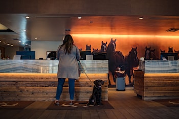 Snow King Resort Hotel & Luxury Residences,Wyoming>>Jackson,5 star