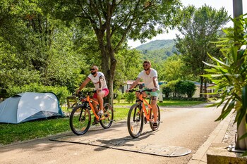 standard mobile home medveja