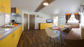 standard mobile home medveja