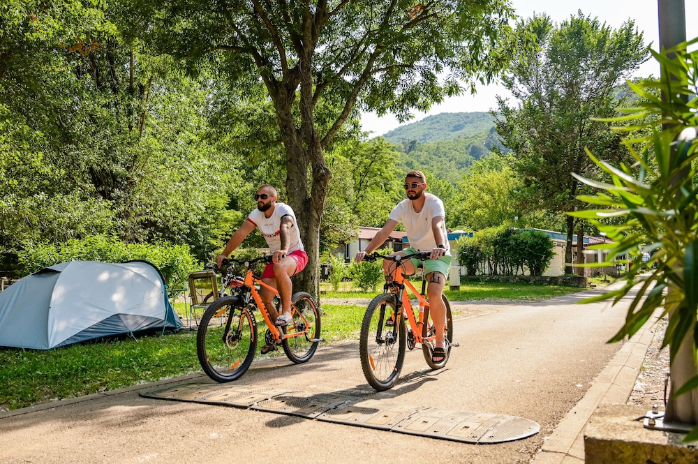 standard mobile home medveja