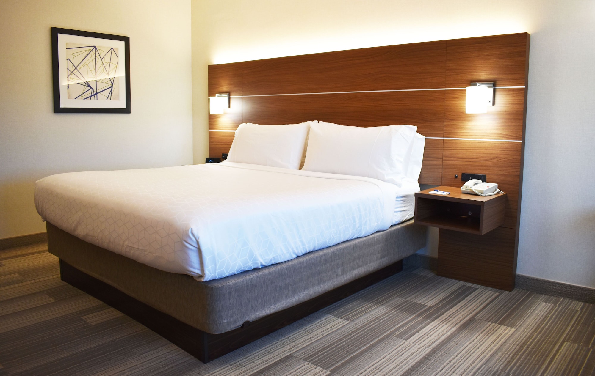 holiday inn express and suites albany by ihg