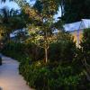 winslows bungalows