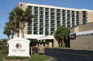 Doubletree By Hilton Atlantic Beach Oceanfront,Carteret County>>Atlantic Beach,4 star