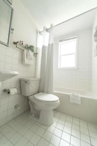 broadmore miami beach