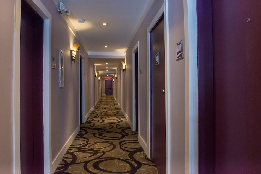 hotel shelley