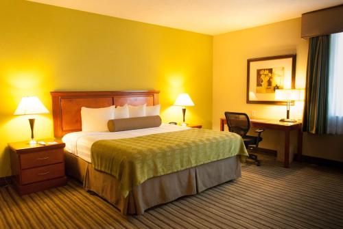 best western plus miami doral dolphin mall