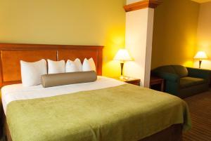 best western plus miami doral dolphin mall