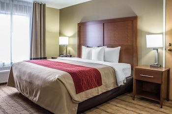 comfort inn and suites cedar rapids north collins road