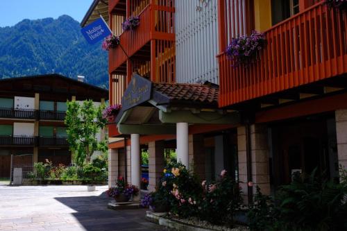 primiero san martino di castrozza