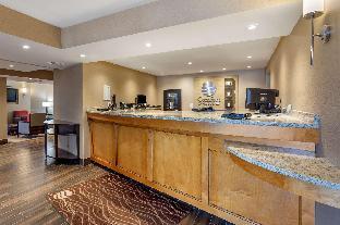 comfort inn and suites rochelle dekalb