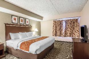 comfort inn and suites rochelle dekalb