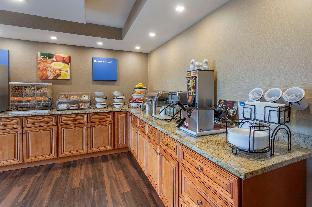 comfort inn and suites rochelle dekalb