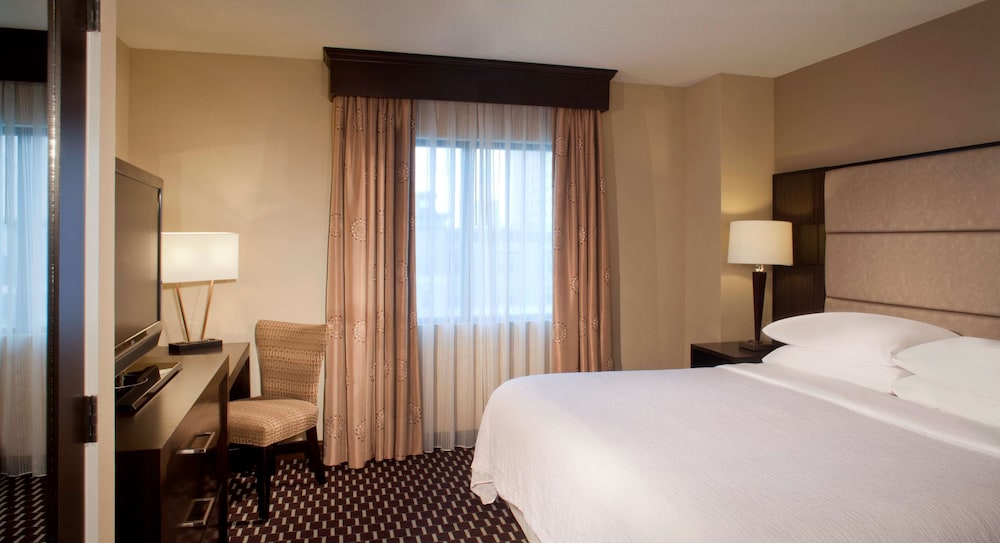 embassy suites by hilton houston near the galleria