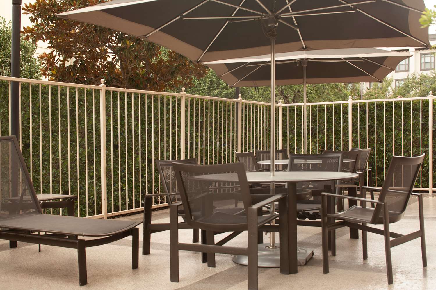 embassy suites by hilton houston near the galleria