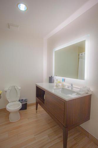 holiday inn and suites spring the woodlands area by ihg