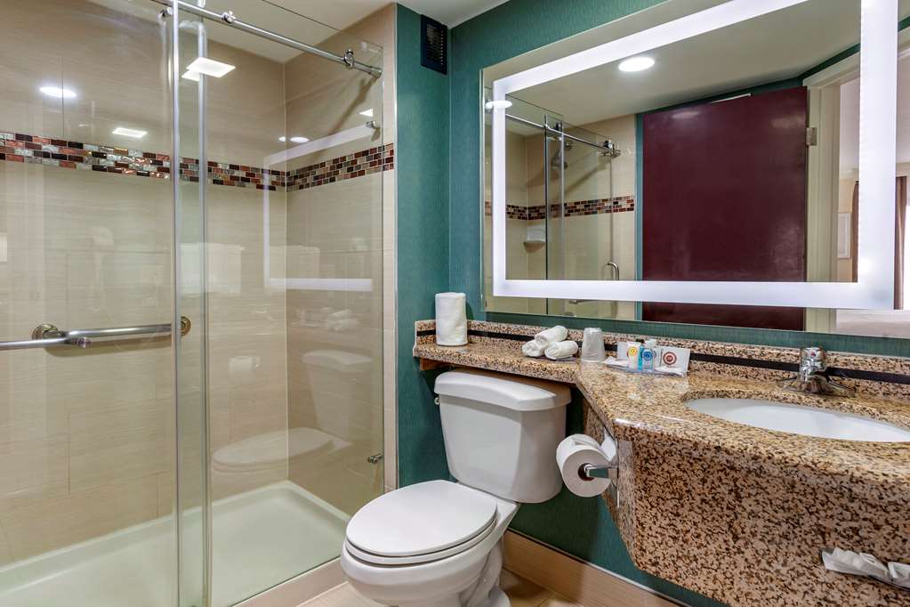 comfort inn and suites houston i 10 west energy corridor