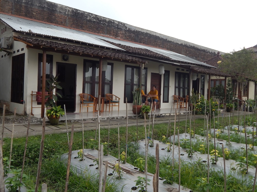 rosella cottage yogyakarta