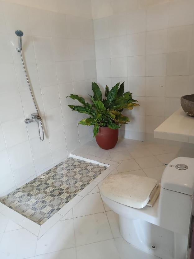 rosella cottage yogyakarta