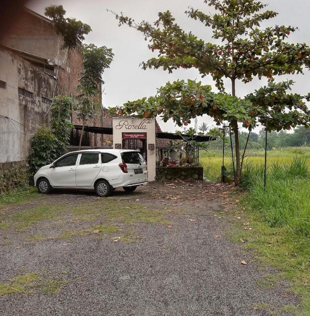 rosella cottage yogyakarta