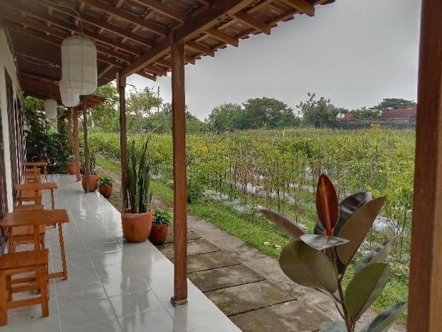 rosella cottage yogyakarta