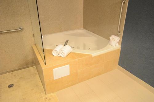 holiday inn houston east channelview by ihg