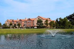 homewood suites by hilton houston woodlands