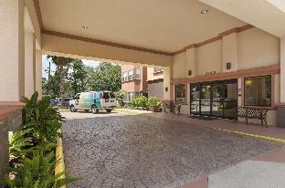 homewood suites by hilton houston woodlands