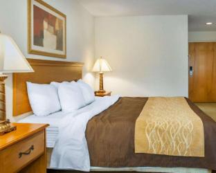 quality inn and suites near amish country